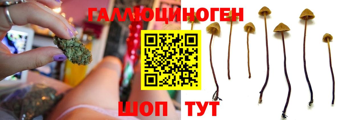 Калуга  Галлюциногенные грибы мицелий  Вход с VPN 