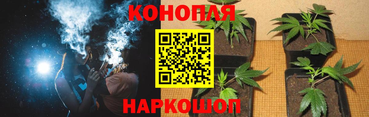 Каннабис тримм Калуга